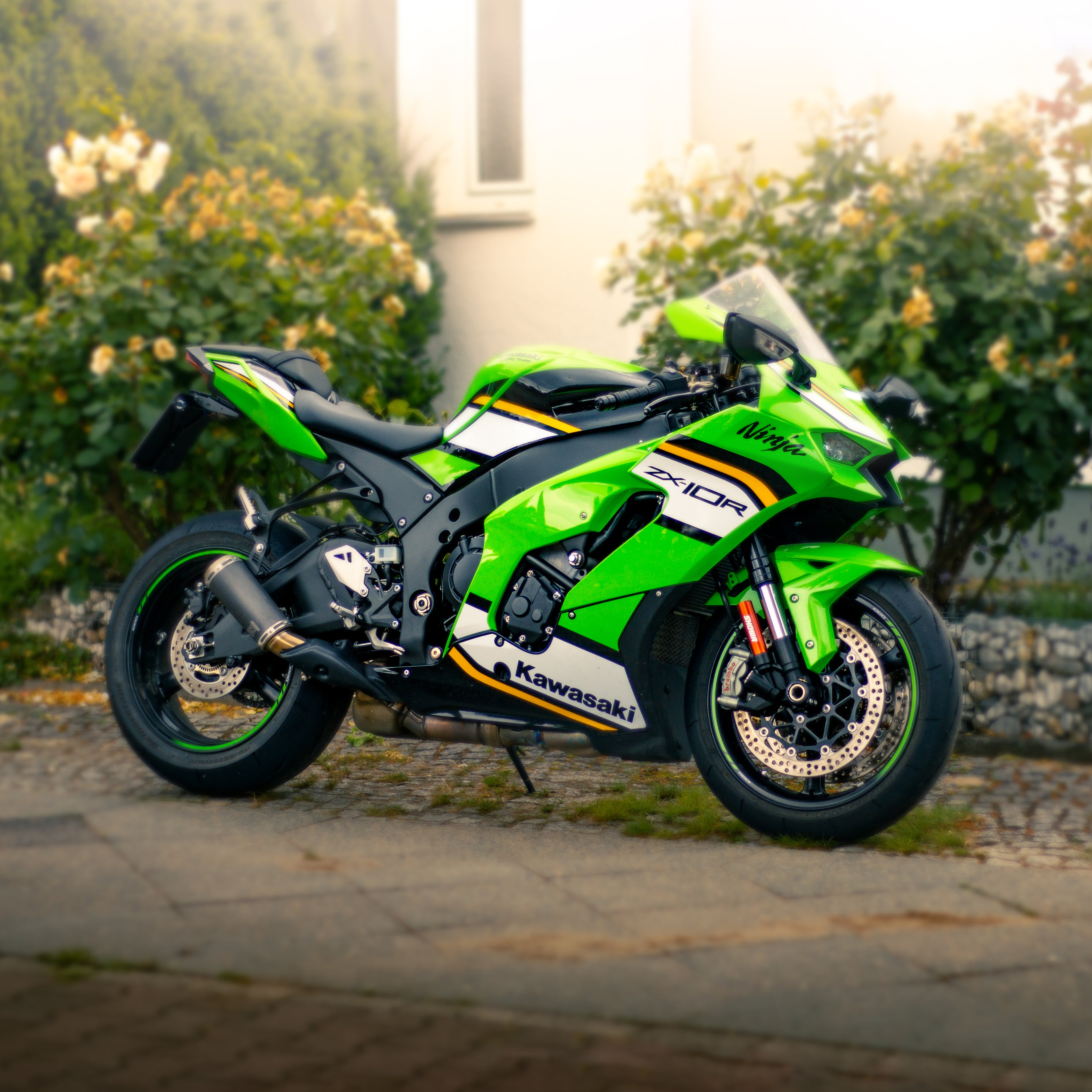 Kawasaki ZX-10R Kennzeichenhalter Set